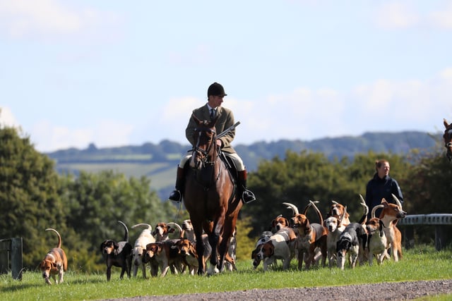 Cotley Hunt to host trail hunting demonstration amid calls for ban